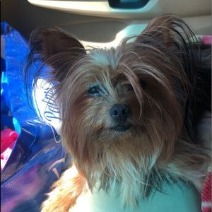 Meet your Posher, Michelle